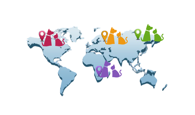 Moving services banner